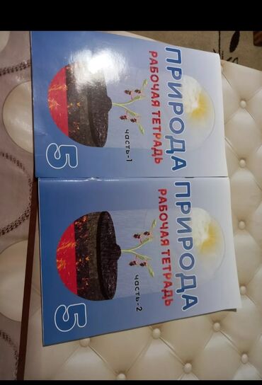 Azərbaycan dili: Azərbaycan dili 6-cı sinif, 2024 il, Pulsuz çatdırılma — 9