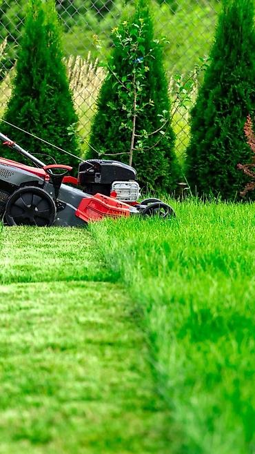 Газонокосилки: Газонокосилка Смерч, Rodex, Rolf at lalafo.kg — 10 Газонокосилки: Газонокосилка Смерч, Rodex, Rolf — 10