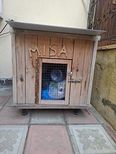 Taxta it evi - Material: təbii taxta lövhələrdən yığma, möhkəm karkas
