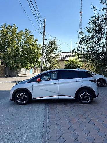 толка оптом: BYD Dolphin: 2022 г., Электромобиль, Хэтчбэк — 6