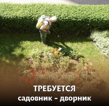 уборщица неполный рабочий день: В государственную школу требуется дворник-садовник