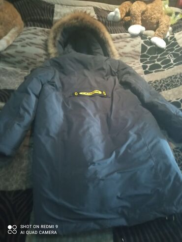 енот бишкек: Куртка 3XL, 4XL, цвет - Серый