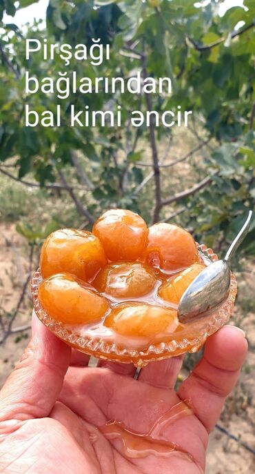 Meyvə və giləmeyvə: PİRŞAĞI BAĞLARINDAN “BAL KİMİ” ƏNCİR MÜRƏBBƏSİ - Məhsul: Bütöv