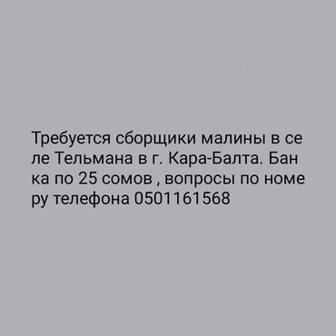 разведение сельскохозяйственных животных: Требуется Сборщик урожая, Оплата Ежедневно