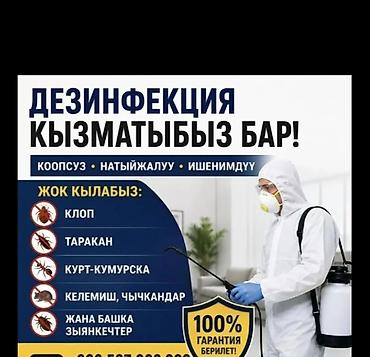 усыпление животных бишкек: Дезинфекция, дезинсекция, | Клопы, | Квартиры — 1