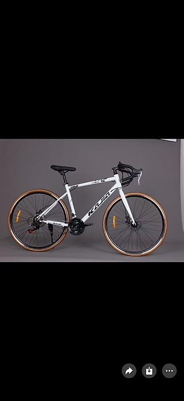 odyssey rb1: Шоссейный велосипед, Рама XL (180 - 195 см), Новый — 2