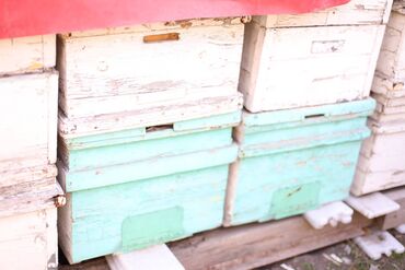 Товары и оборудование для с/х животных: Ульи около 45 комплектов. Рутовская система, корпусные, пригодны для — 3