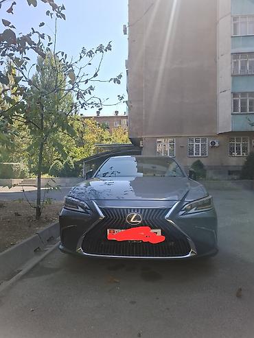 leopard 3: Lexus ES: 2020 г., 2.5 л, Автомат, Гибрид — 4