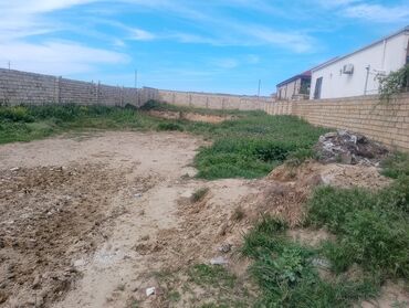 novxanı evler: 10 sot, Tikinti, Mülkiyyətçi, Kupça (Çıxarış), Müqavilə