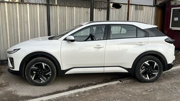 BYD: BYD : 2025 г., Электромобиль, Кроссовер — 3