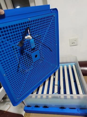 İnkubatorlar: Çin, Fabrik istehsalı, Tam avtomat, Bütün növ quşlaq üçün — 9