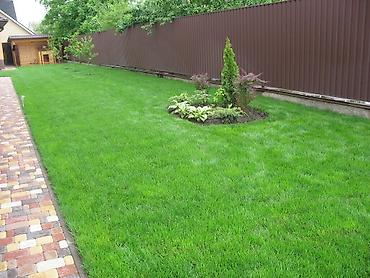 Дворники, садовники: 🌱Я садовник сеем газон с нуля посев газон садовник выезд — 17