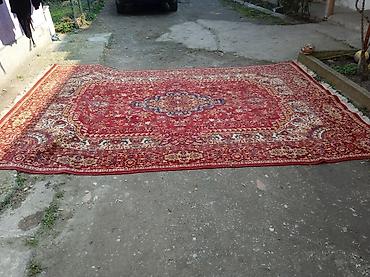 Tepisi i prostirke: Tepih 335 x 240 cm - Veliki klasični orijentalni dizajn - Dominantna — 2