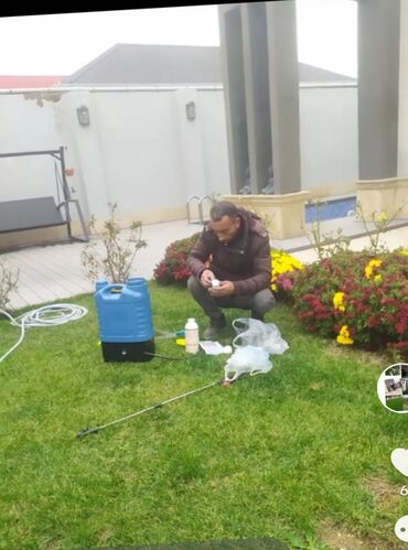 Landşaft işləri: : bağban axran işləri görürəm bütün növ ağcların gülərin əkilməsi — 9