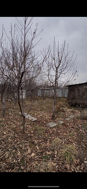 Продажа участков: 5 соток, Договор купли-продажи, Тех паспорт at lalafo.kg — 4 Продажа участков: 5 соток, Договор купли-продажи, Тех паспорт — 4