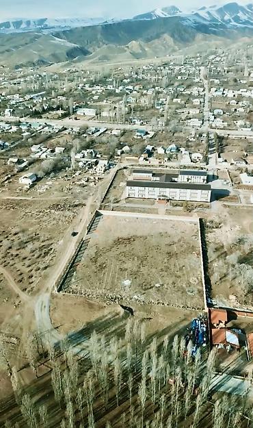 думал: 74 соток, Красная книга — 3