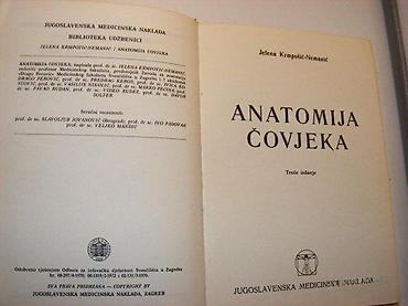 odece: Anatomija čovjeka Jelena Krmpotić-Nemanićutrobni organitrbušna — 2