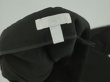 sklep hm: H&M, Spodnie materiałowe damskie, rozmiar 4XL — 4