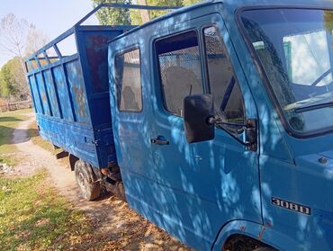 Mercedes-Benz: Mercedes-Benz : 1990 г., 3 л, Механика, Дизель