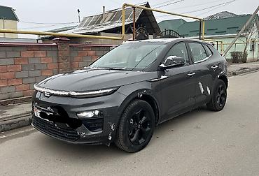 BYD: BYD : 2022 г., 1.5 л, Электромобиль — 1