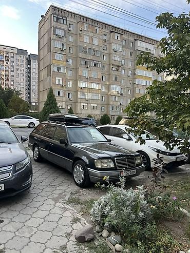 124 e500: Mercedes-Benz W124: 1992 г., Универсал — 4