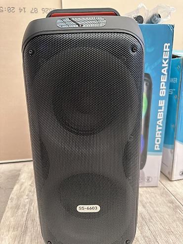 technics rs: Портативная акустическая система SS-6603 - Два динамика 6.5" (6.5" — 5