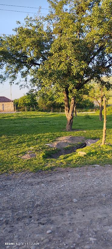 ismayilli torpaq: Quba rayonu sebetler kendide yola yaxın yerde 10 sot torpaq satılır — 7