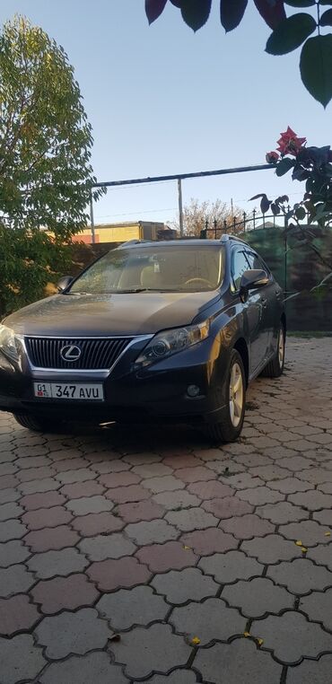 Lexus: Lexus RX: 2010 г., 3.5 л, Автомат, Бензин, Внедорожник