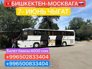 бишкек тюмень автобус номер телефона: Бус, Автобус, Такси, легковое авто | 50 мест