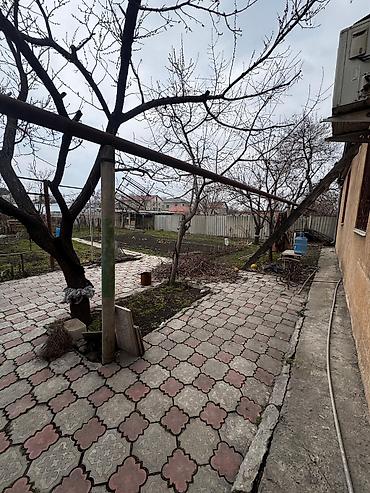 3: Дом мечты: Заезжай и Живи! (Срочная продажа) ​Ищете уютное где всё — 5