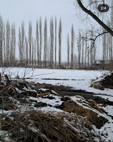 кок жар село: 10 соток, Для строительства, Красная книга