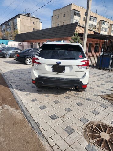 продаю в связи с переездом: Subaru Forester: 2019 г., 2.5 л, Вариатор, Бензин, Кроссовер