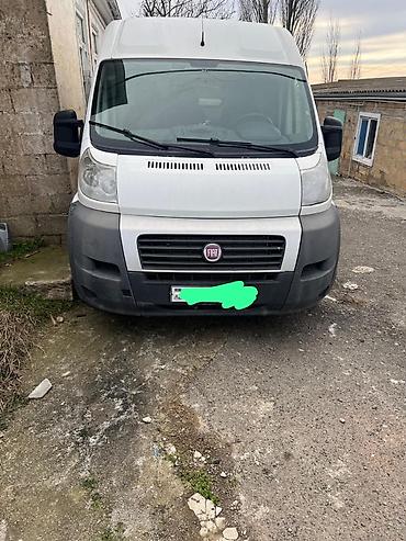 batinka hərbi: Fiat Ducato: 2.3 l | 2012 il 180000 km Van body type — 1