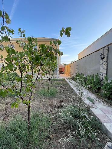 Uşaq və gənc otağı üçün dəstlər: Qız üçün, Yeni — 16