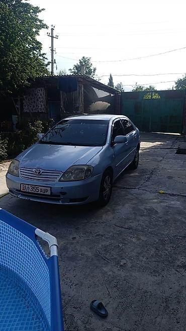 coroll: Toyota Corolla: 2005 г., Бензин, Седан — 1
