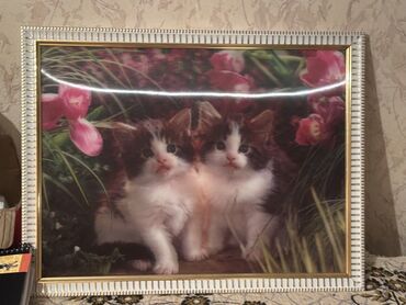 tek oglan sekilleri: 3 D Şəkil satılır