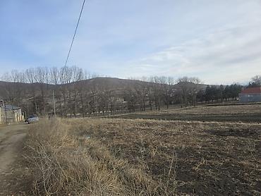 Torpaq sahələrinin satışı: 12 sot, Tikinti, Mülkiyyətçi, Kupça (Çıxarış) — 2