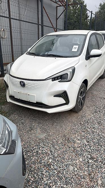 чангам: Changan Benben E-Star: 2024 г., Электромобиль — 1