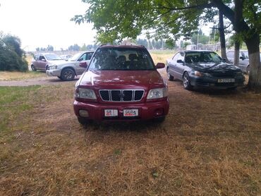 катер для рыбалки купить: Subaru Forester: 2002 г., 2 л, Механика, Бензин, Универсал