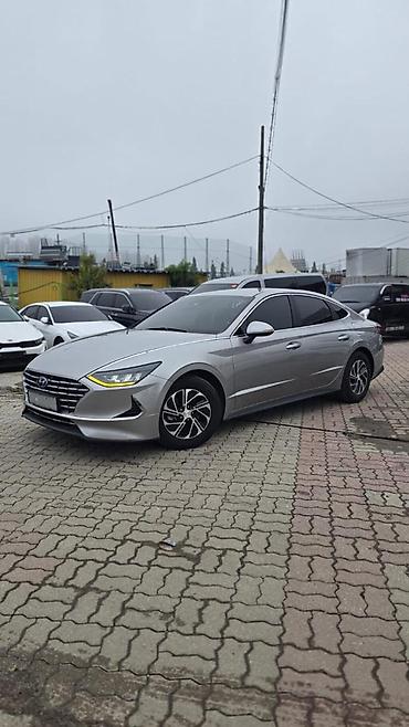 byd qin plus dm i купить: Hyundai Sonata: 2021 г., 2 л, Автомат, Гибрид, Седан — 1