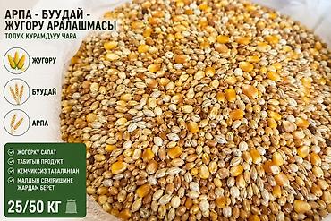 Арпа буудай жугору сатылат