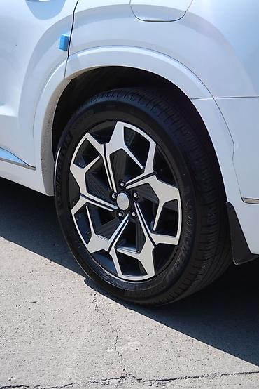 мишлен: Hyundai Palisade: 2021 г., 2.2 л, Автомат, Дизель, Кроссовер — 10