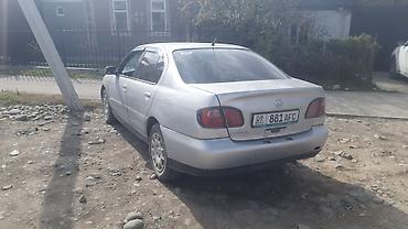 nissan r34: Nissan Primera: 2000 г., Механика, Бензин, Седан — 2
