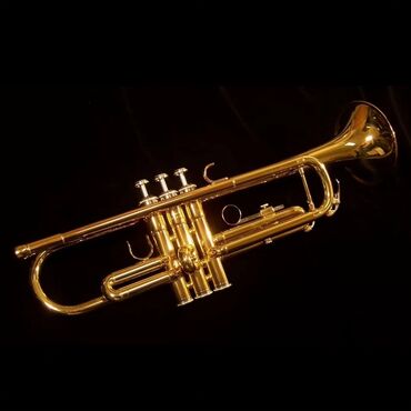 аренда музыкальных инструментов: Продаю духовые инструменты Кларнет от фирмы Yamaha 1- YCL 455