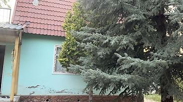 ковер цена бишкек: Беседка Дерево — 5