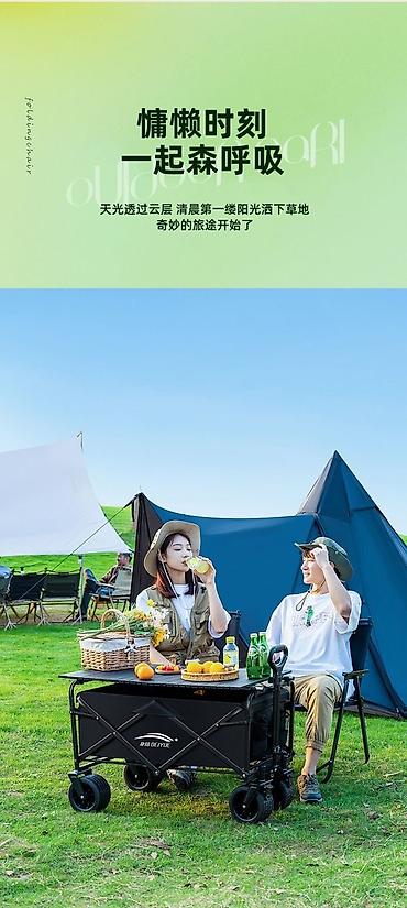 Другие товары для детей: Кемпинговая тележка В горы на пляж На Иссыккуль прям необходимая — 9