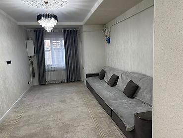 2 комнаты, 53 м², Элитка, 1 этаж, Евроремонт