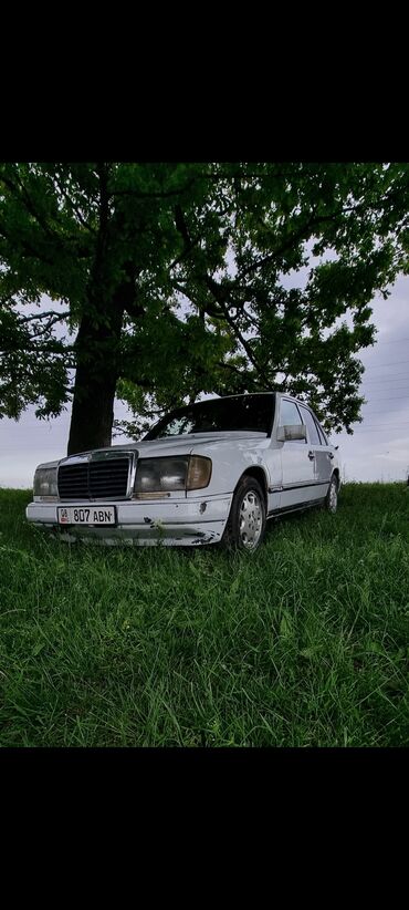 германский ешка: Mercedes-Benz W124: 1989 г., 2 л, Механика, Дизель, Седан
