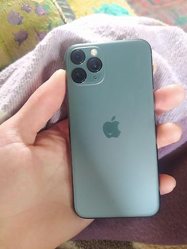 honor magic 6 pro aksesuar: IPhone 11 Pro, Matte Midnight Green — 1