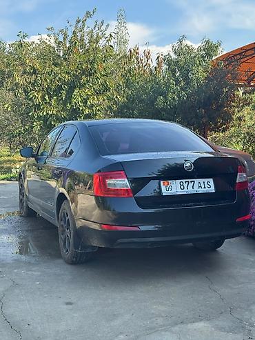ford fiesta se 2018: Skoda Octavia: 2014 г., 1.4 л, Автомат, Бензин, Седан — 9